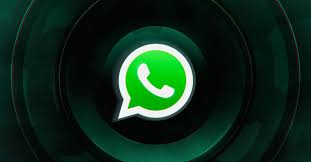 whatsapp官网版：畅享高效通讯