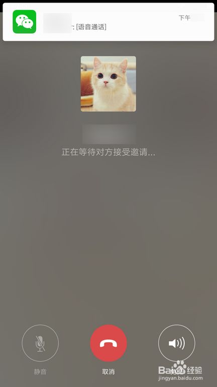 全新沟通之门，whatsapp官方正版来袭！