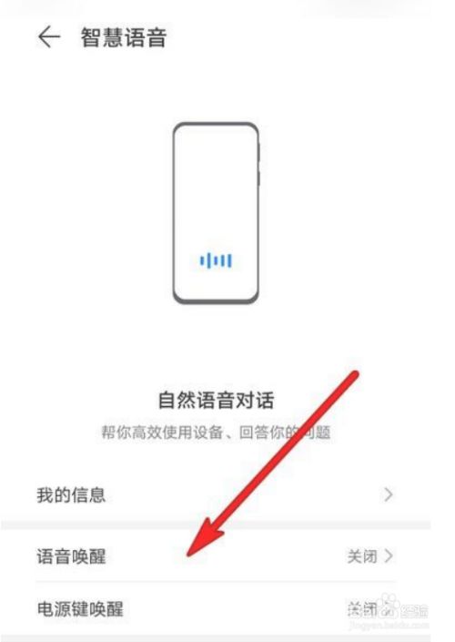 whatsapp中文手机版：使用技巧与注意事项
