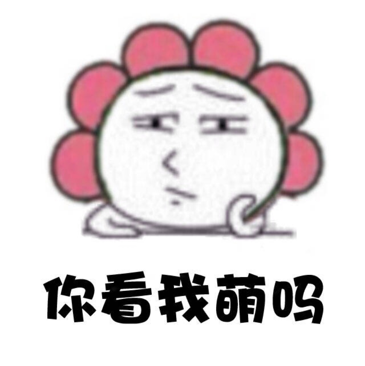 WhatsApp最新版，告别无聊文字聊天！
