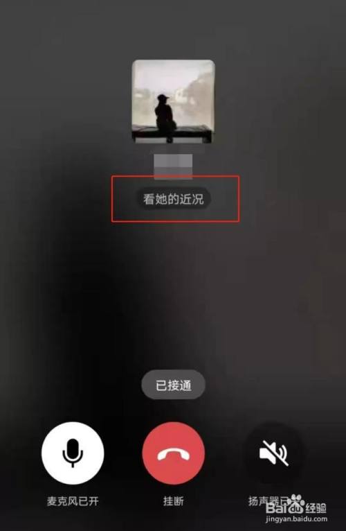 WhatsApp使用指南