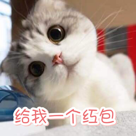 最新版whatsapp下载_whatsapp最新版