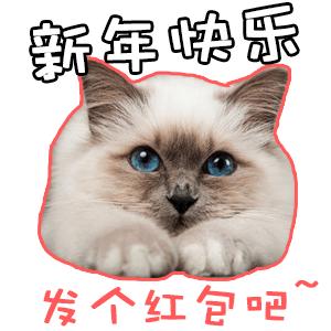 最新版whatsapp下载_whatsapp最新版
