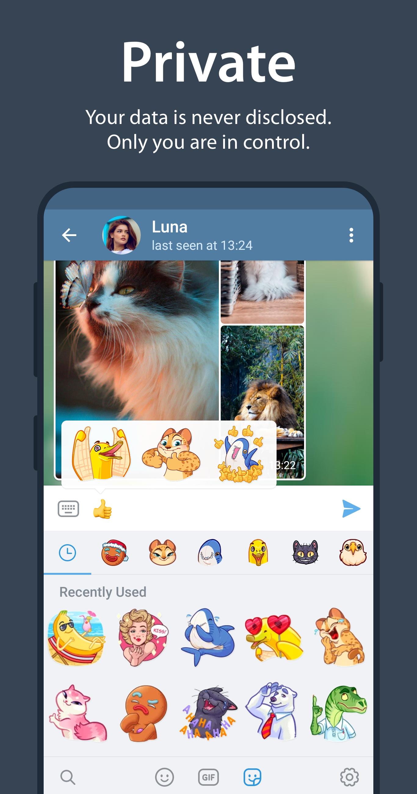 WhatsApp安卓版：通讯更便捷高效！