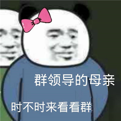 掌握whatsapp，聊天新体验