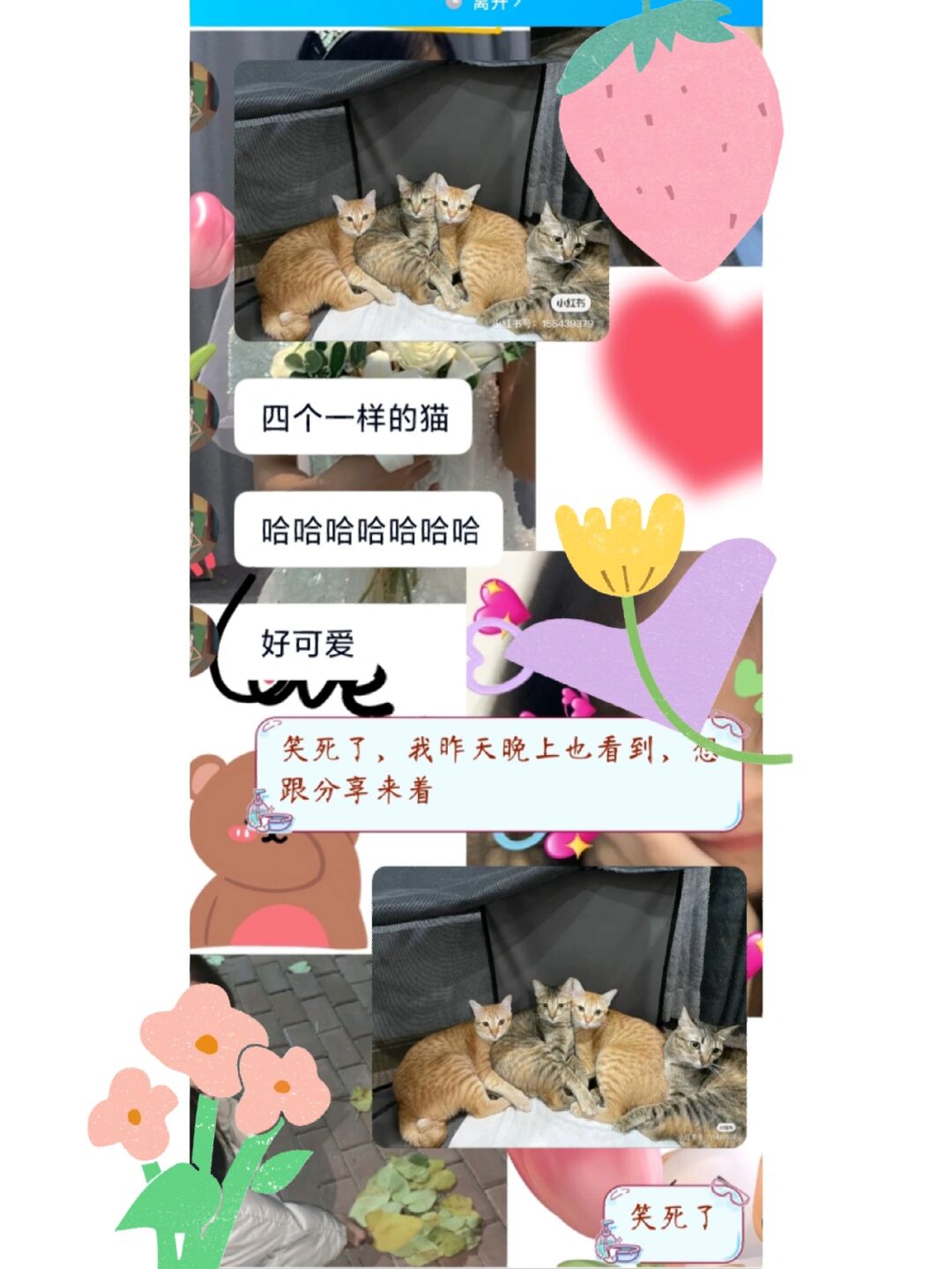 whatsapp是属于什么_属于是是的意思吗