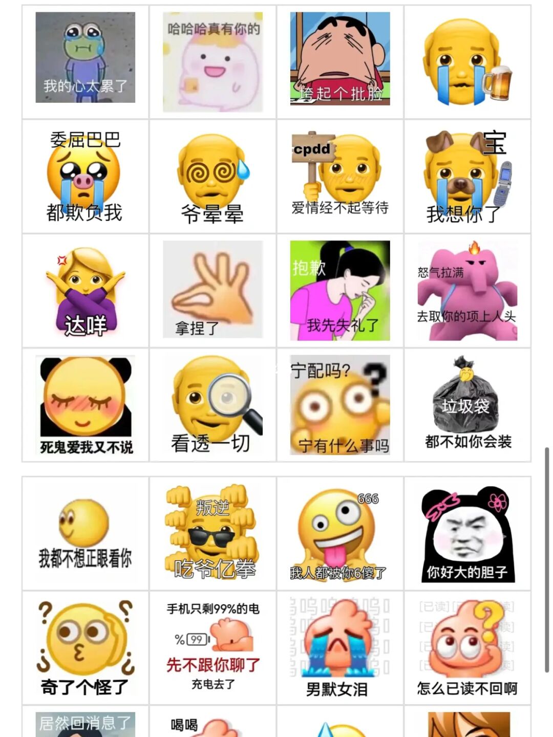 WhatsApp最新版，社交圈秒变达人