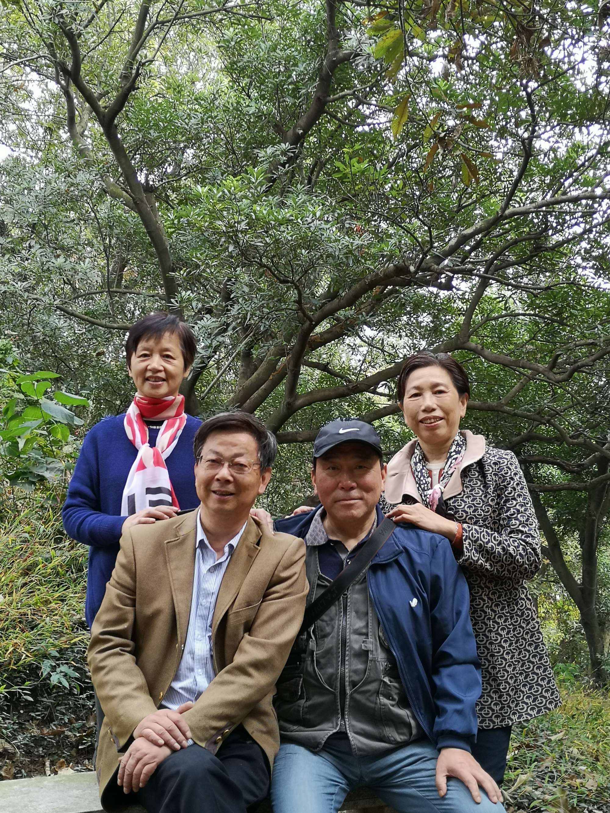 whatsapp是免费的吗_属于是什么之间的关系_whatsapp是属于什么