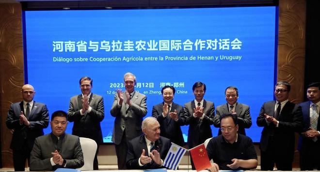 国家是什么_whatsapp是什么的缩写_whatsapp是那国家
