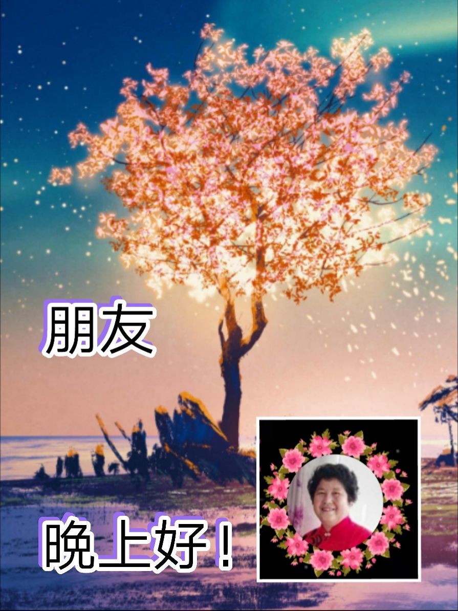 whatsapp是属于什么_whatsapp是免费的吗_属于是是的意思吗