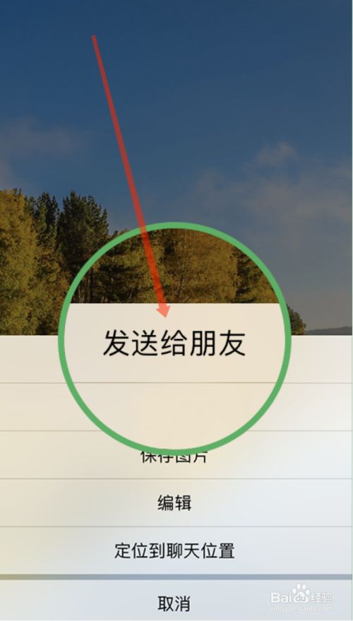 全球领先：whatsapp手机版，即时通讯应用程序