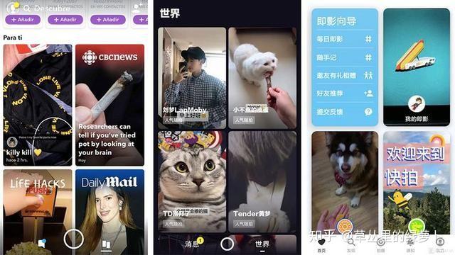 whatsapp官方下载免费_whatsapp官方app_每日一文app官方下载