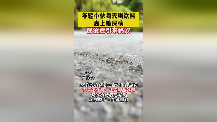 属于是是的意思吗_whatsapp是免费的吗_whatsapp是属于什么