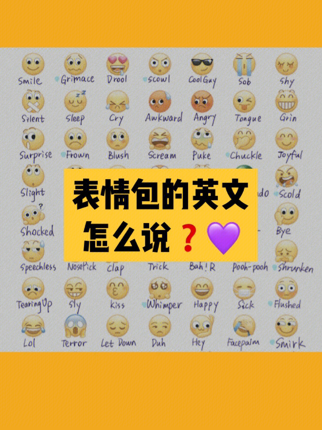 中文最新版地址在线_whatsapp中文最新版_中文最新版资源网