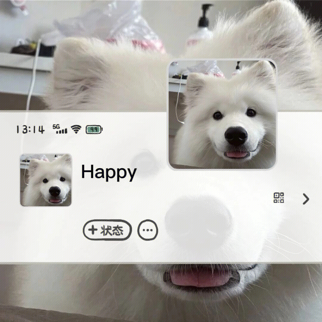whatsapp怎么使用？_whatsapp怎么能用_whatsapp是什么