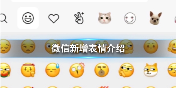 whatsapp最新官方下载_whatsapp中文叫什么_whatsapp中文最新版