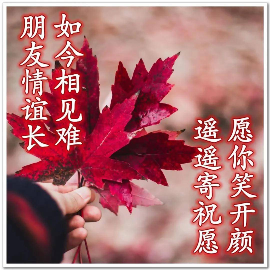 whatsapp如何聊天_聊天软件_whatsapp是什么