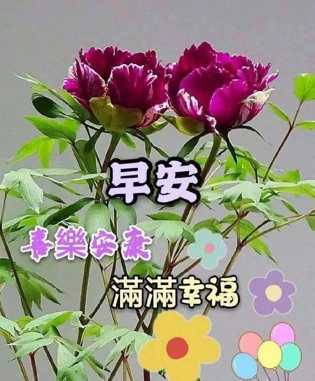聊天软件_whatsapp如何聊天_whatsapp是什么