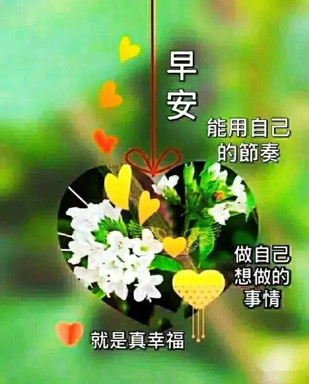 聊天软件_whatsapp如何聊天_whatsapp是什么