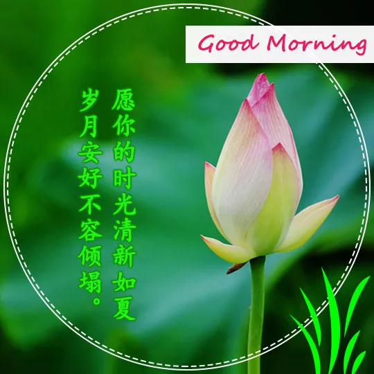 whatsapp是那个公司_公司是什么意思_公司是企业吗