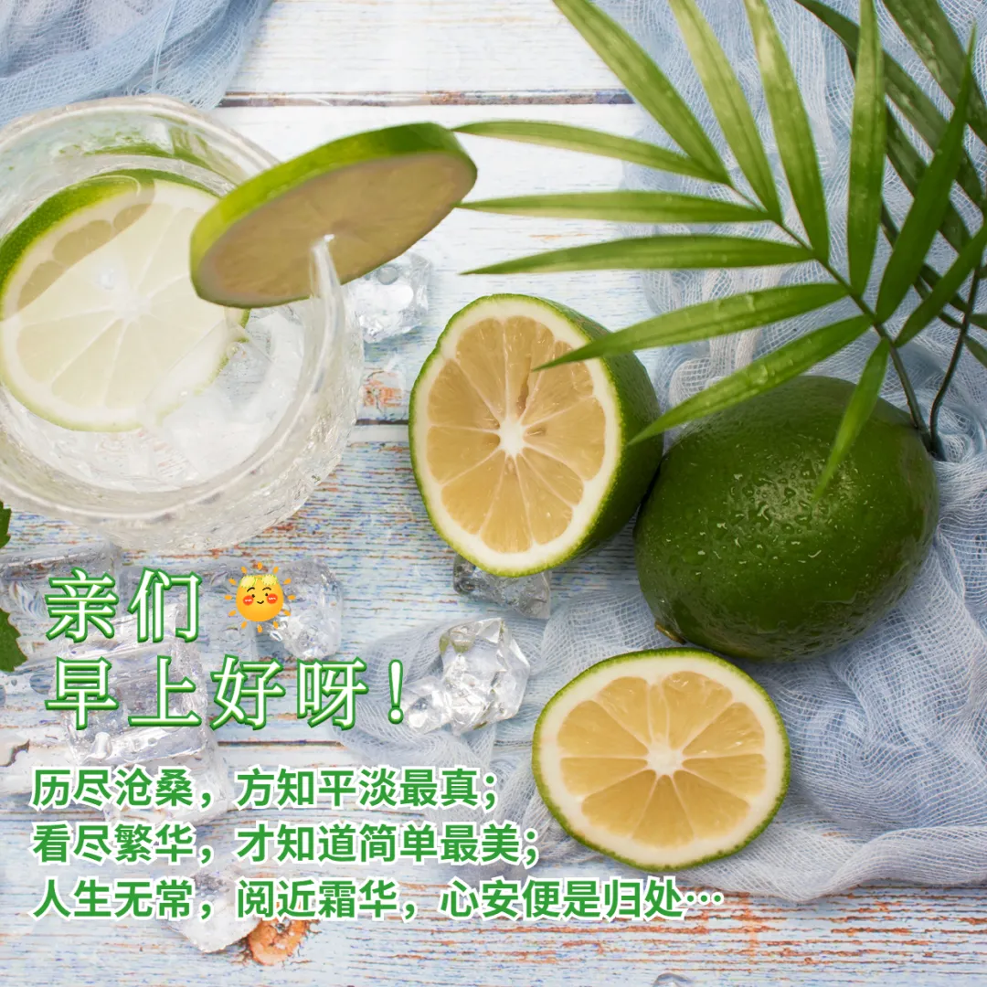 whatsapp是那个公司_公司是企业吗_公司是什么意思