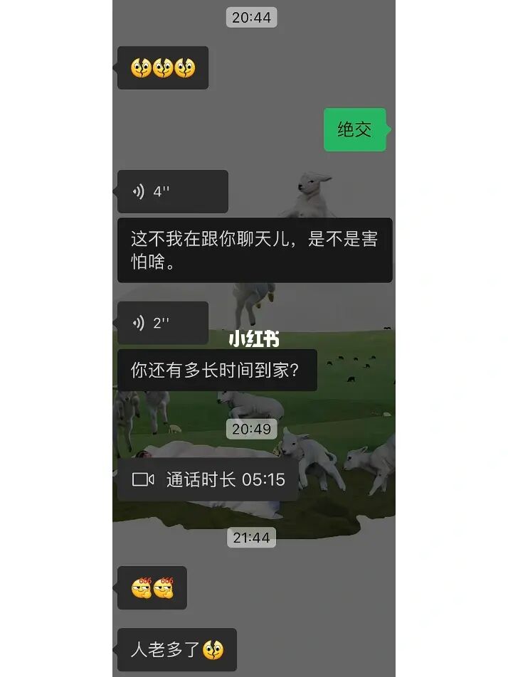 whatsapp最新版_最新版whatsapp下载