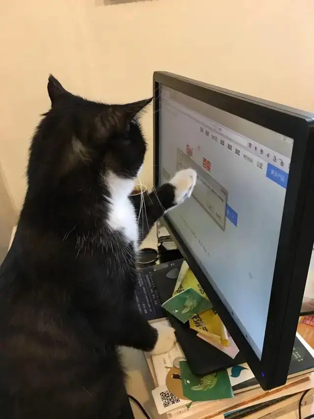 whatsapp官方最新版下载