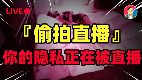 whatsapp官网下载_官网下载安装_官网下载波克捕鱼