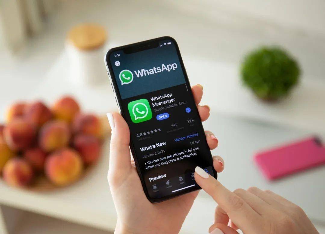whatsapp是属于什么_属于是什么_属于是是什么意思