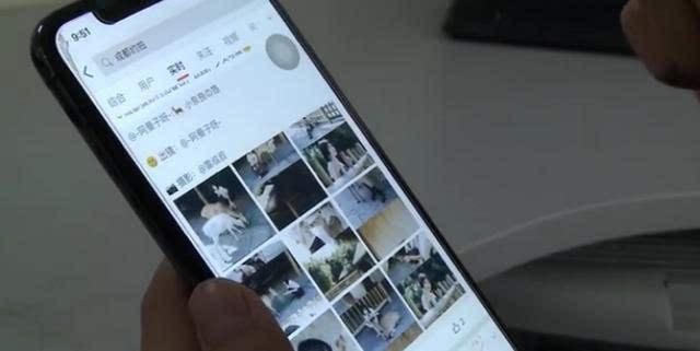 whatsapp官方版下载_whatsapp官方中文正版_whatsapp安卓下载安装