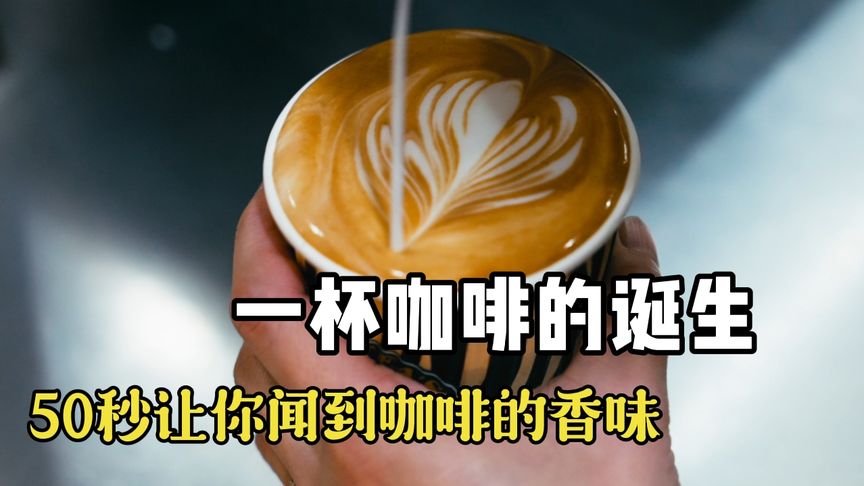 视频通话_whatsapp怎么视频通话_微信视频通话带宽