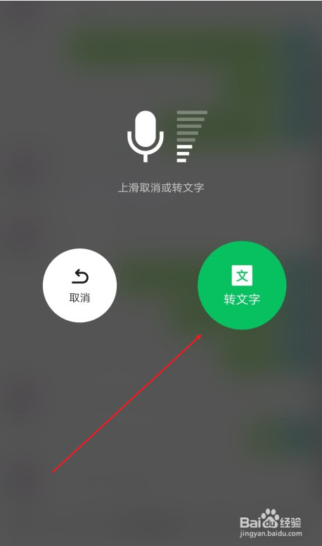 whatsapp如何聊天_whatsapp聊天背景_聊天软件