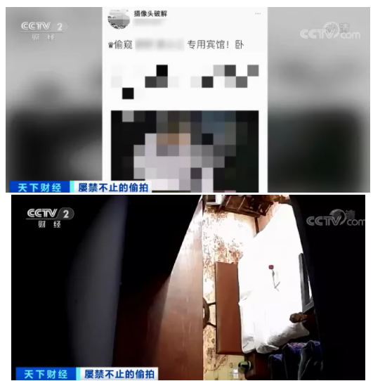 whatsapp最新版_whatsapp最新版_最新版whatsapp下载