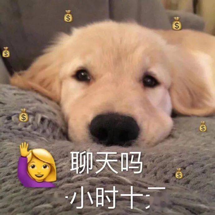 whatsapp官网免费下载_whatsapp官网版中文下载_官方下载whatsapp
