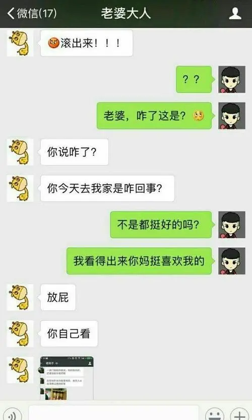 官网下载软件_官网下载app豌豆荚_whatsapp官网下载