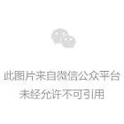 whatsapp是那个公司_whatsapp是什么的缩写_公司是企业吗