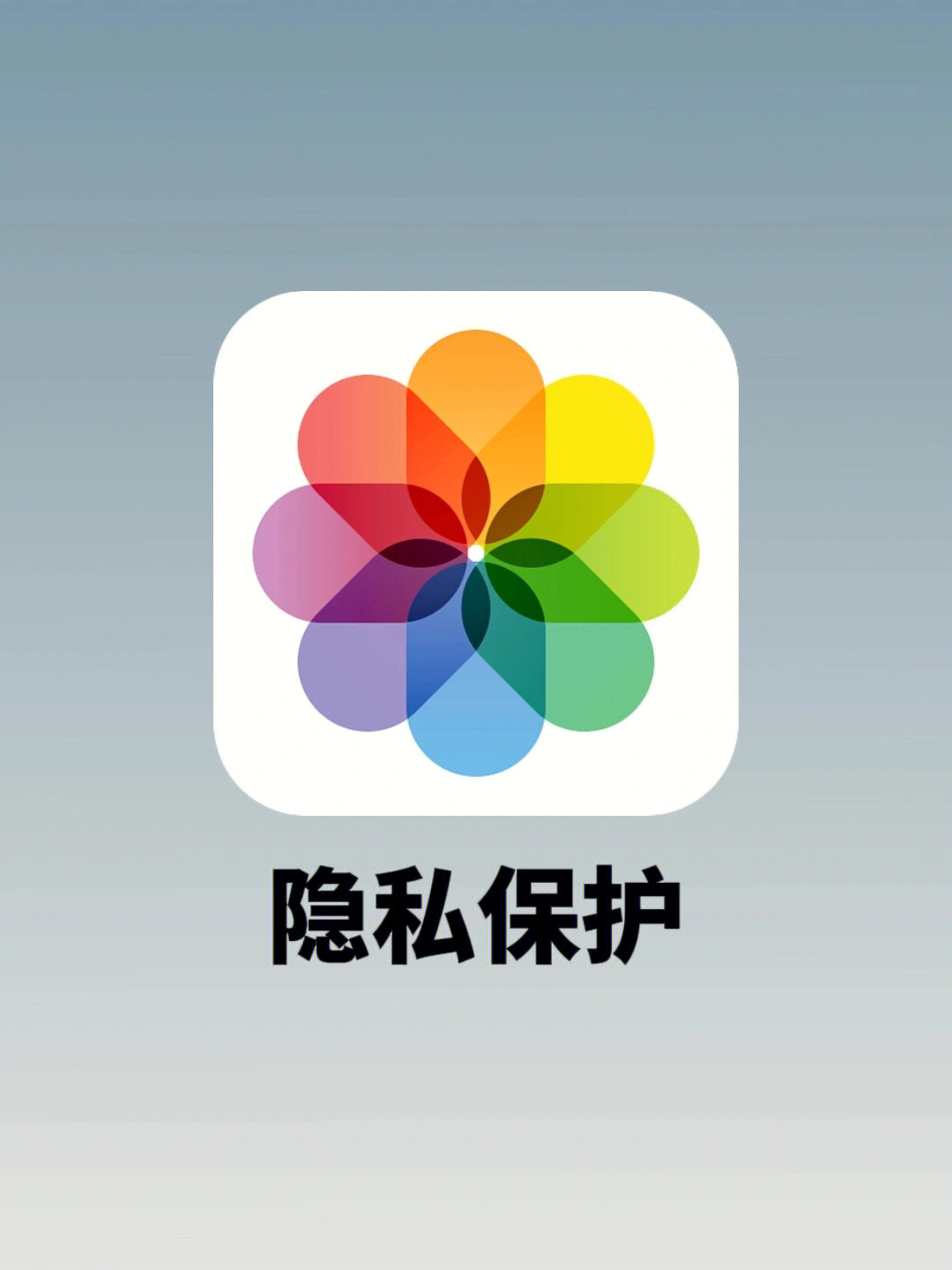 官方版手机管家_whatsapp官方手机版_官方版手机正宗风水罗盘