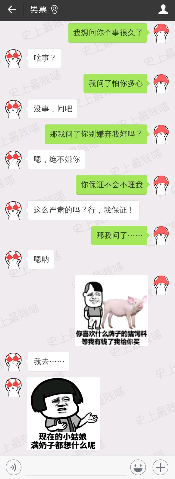 whatsapp如何聊天_whatsapp聊天壁纸_聊天软件
