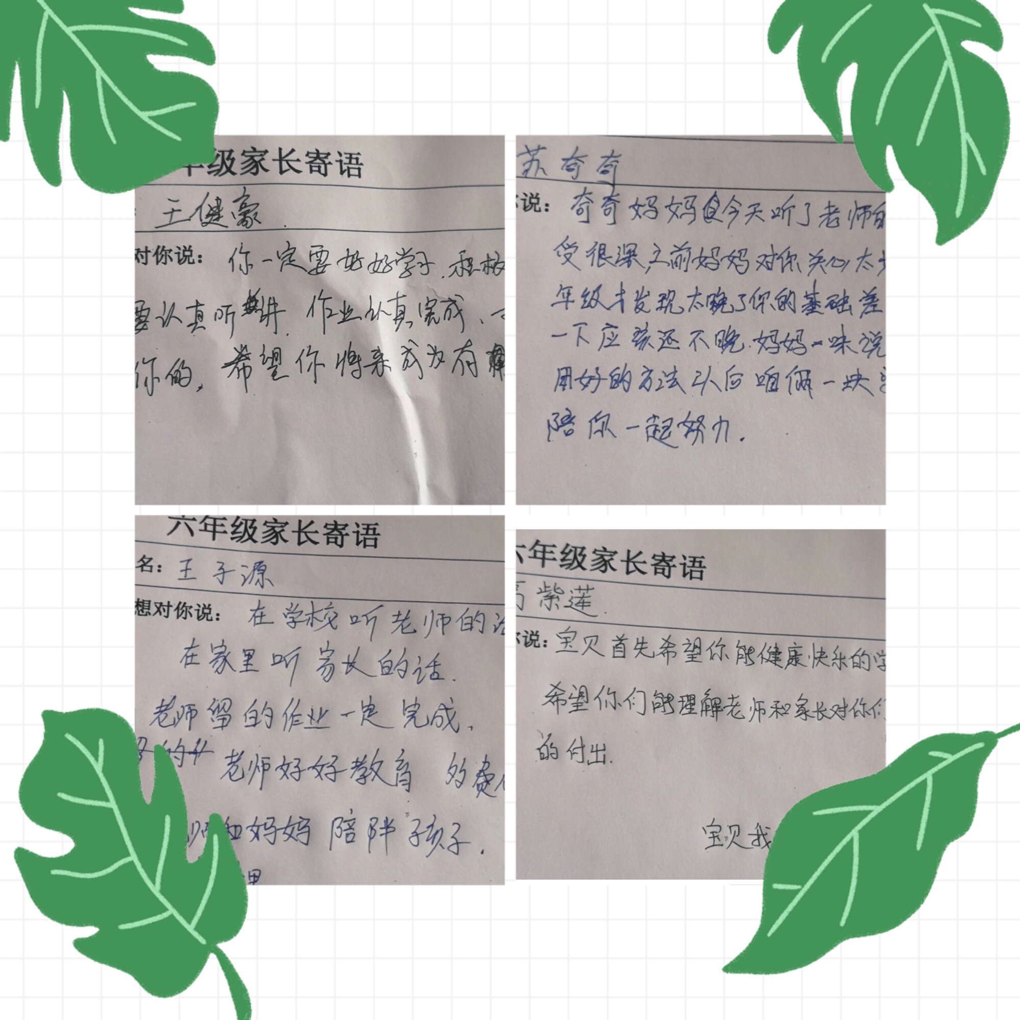官方whatsapp_whatsapp官方app_官方whatsapp下载不了