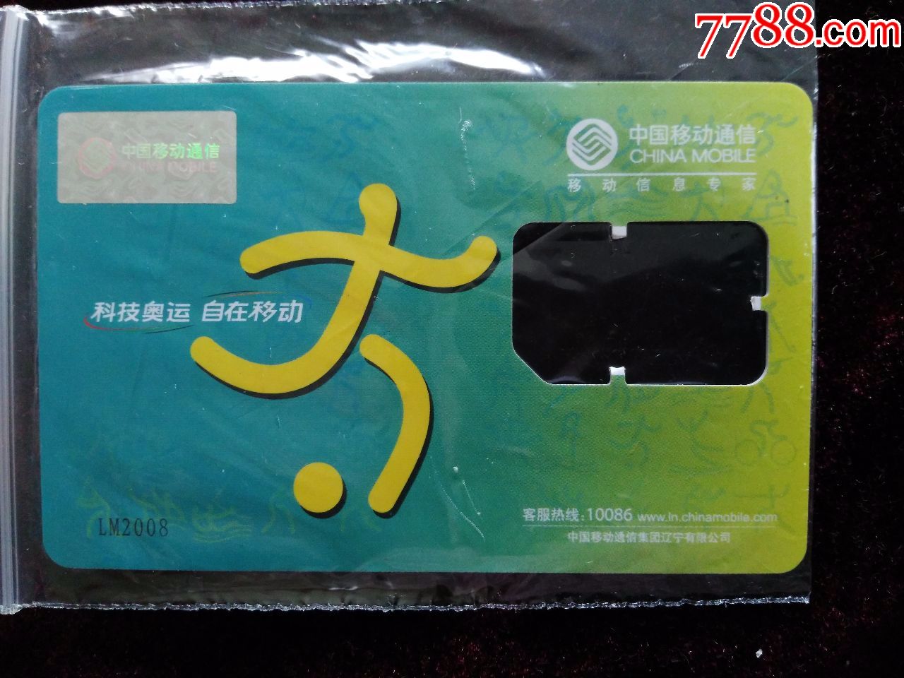 whatsapp官方app_官方whatsapp免费下载_官方whatsapp怎么下载