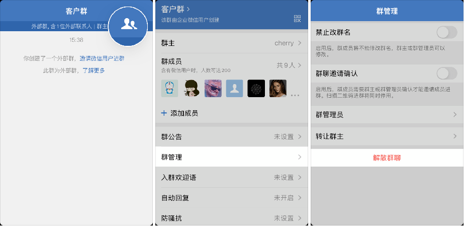 与好友畅聊无极限，WhatsApp官网版让你随时畅享