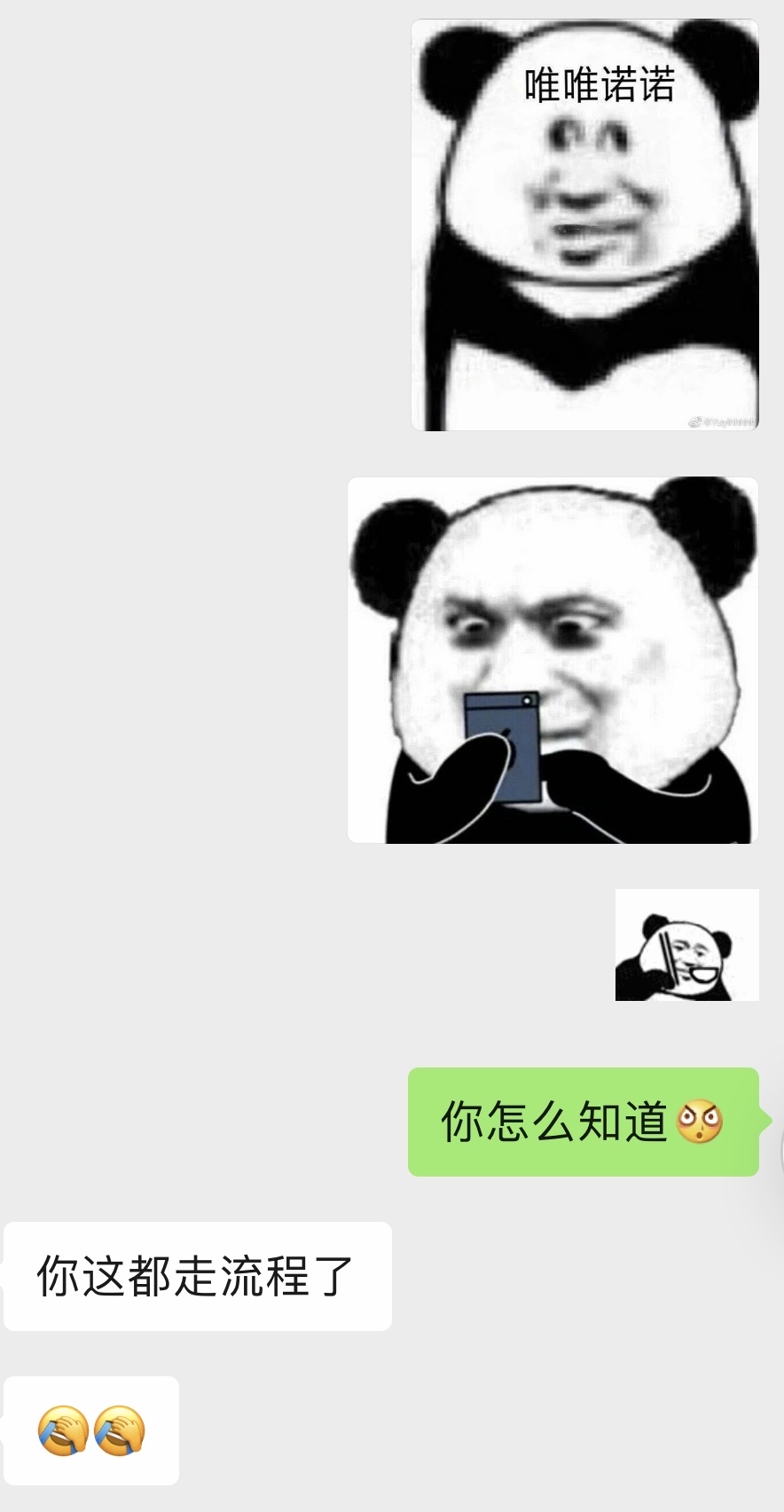 聊天软件_whatsapp如何聊天_whatsapp聊天背景