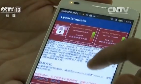 whatsapp安卓版_whatsapp安卓版_安卓版whatsapp下载