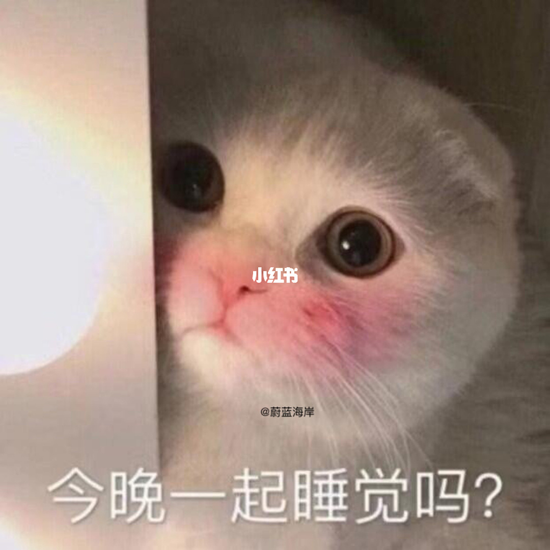中文最新版樱花校园模拟器下载_中文最新版樱花校园模拟器_whatsapp中文最新版