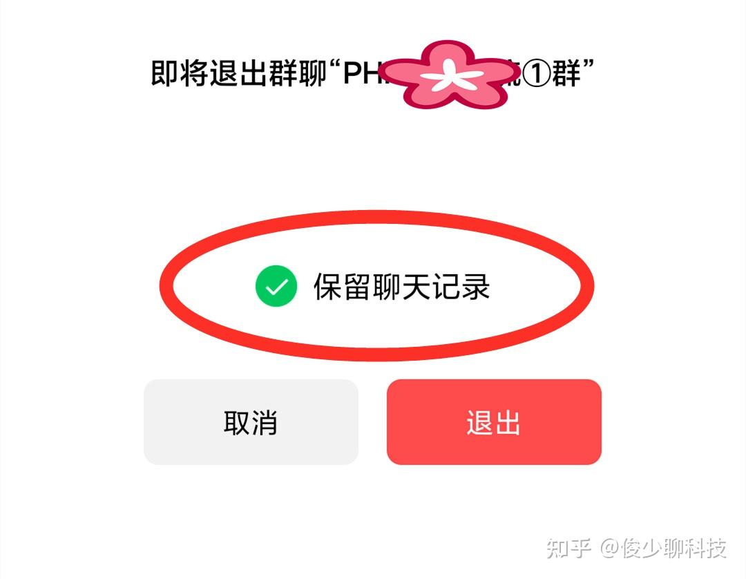 whatsapp聊天背景_whatsapp聊天软件_whatsapp如何聊天