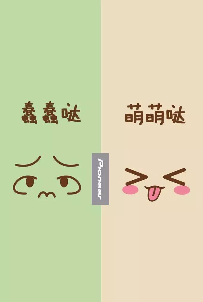 whatsapp_whatsapp是什么_whatsapp如何聊天