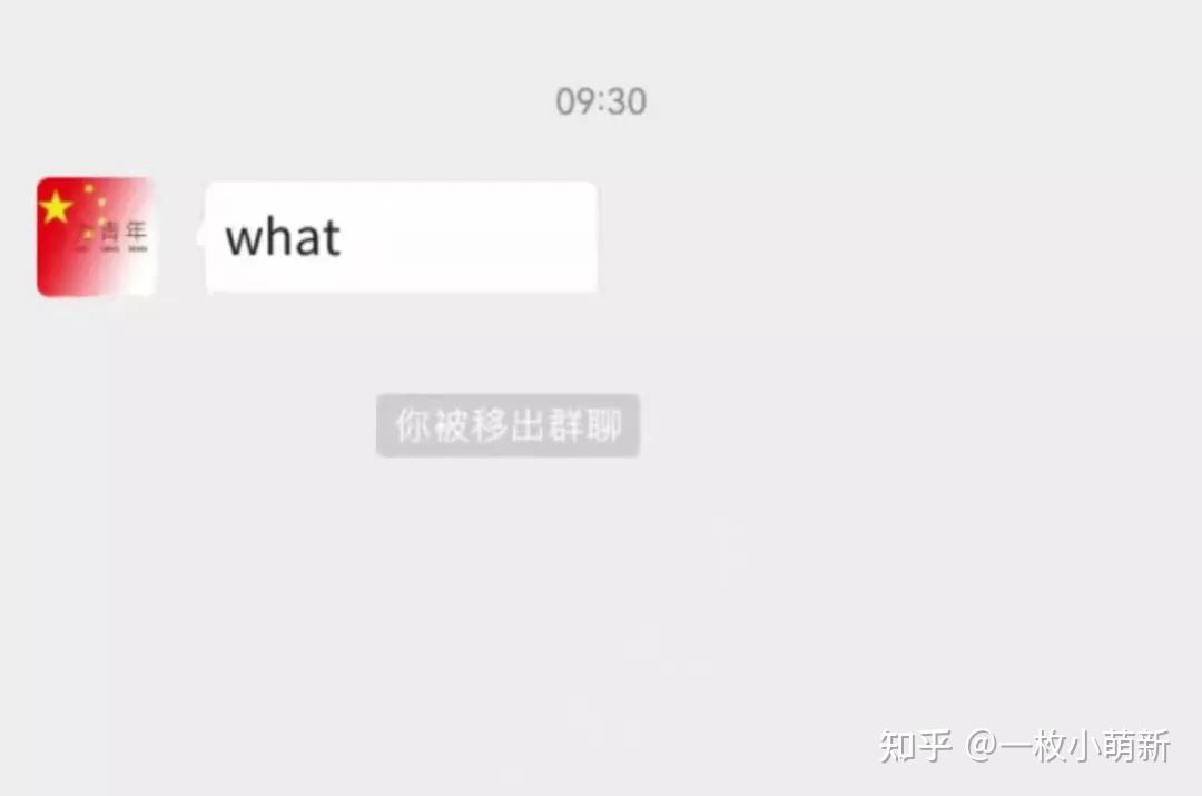 whatsapp是什么_建制派whatsapp_whatsapp怎么使用？