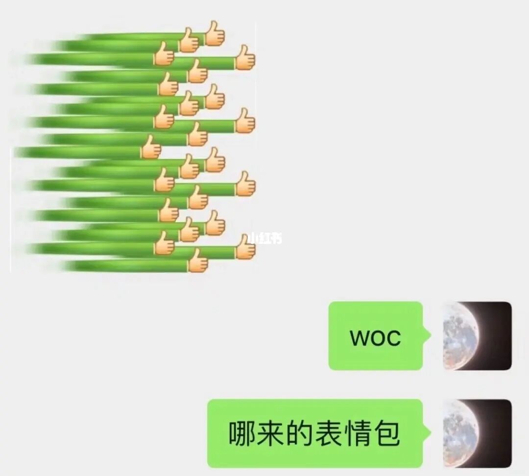 whatsapp最新版_whatsapp最新版_whatsapp最新版