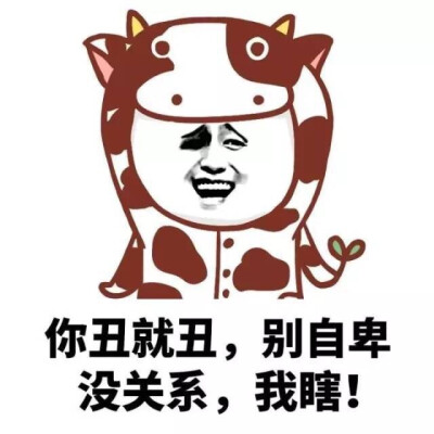 whatsapp如何聊天_whatsapp聊天收费吗_whatsapp交友
