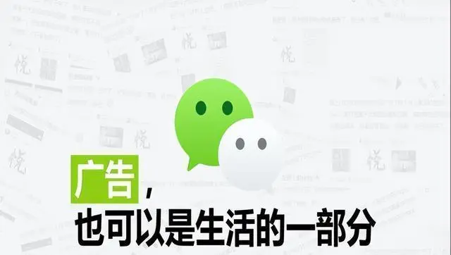 whatsapp是什么的缩写_whatsapp是属于什么_属于是种属关系吗